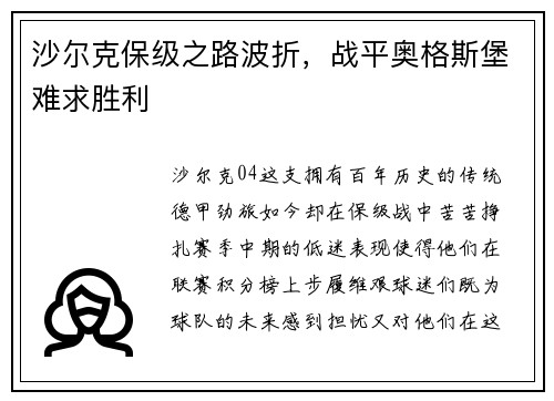 沙尔克保级之路波折，战平奥格斯堡难求胜利